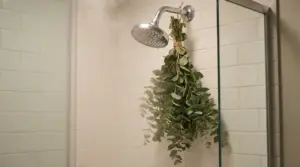 Mazzo di eucalipto appeso al soffione della doccia in un box doccia con piastrelle bianche